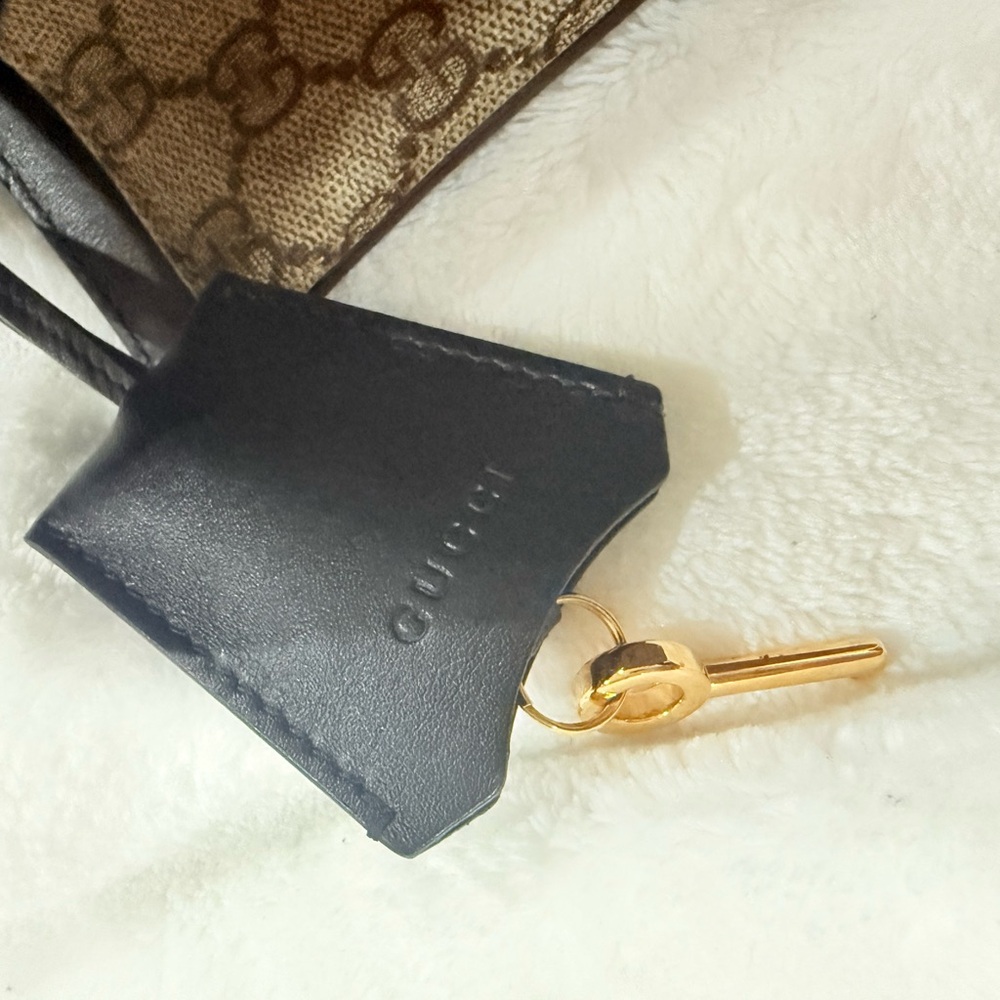 Elegant Designer Beige and Black Tote Bag - Picture 13 of 14